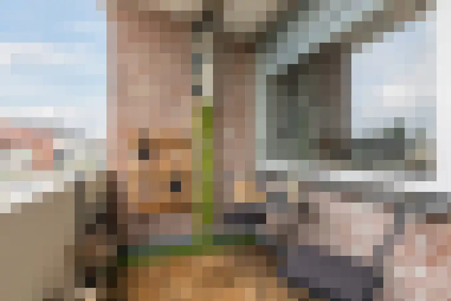 Rooseveltlaan 107 Bergen op Zoom thumbnail 10
