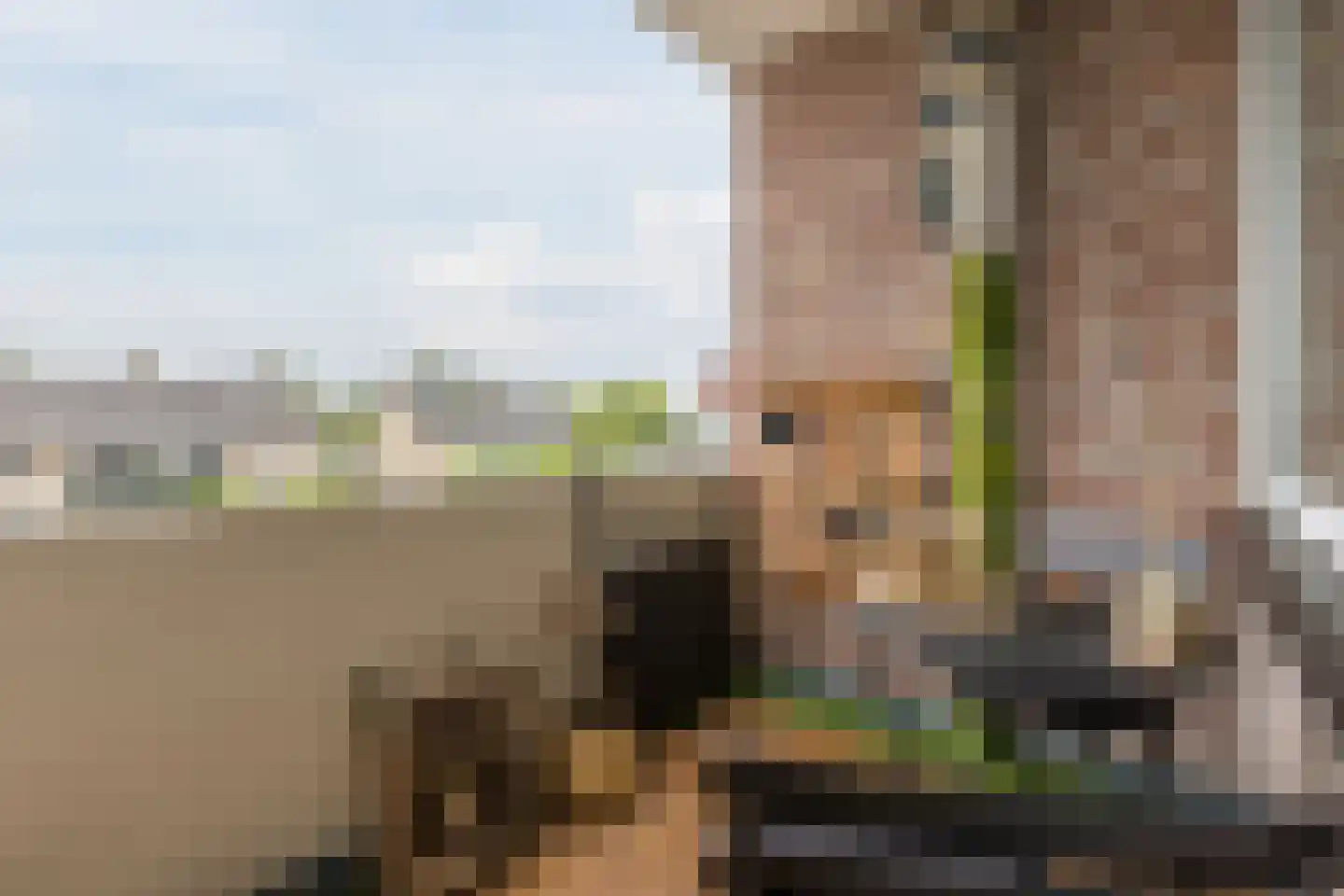 Rooseveltlaan 107 Bergen op Zoom thumbnail 11
