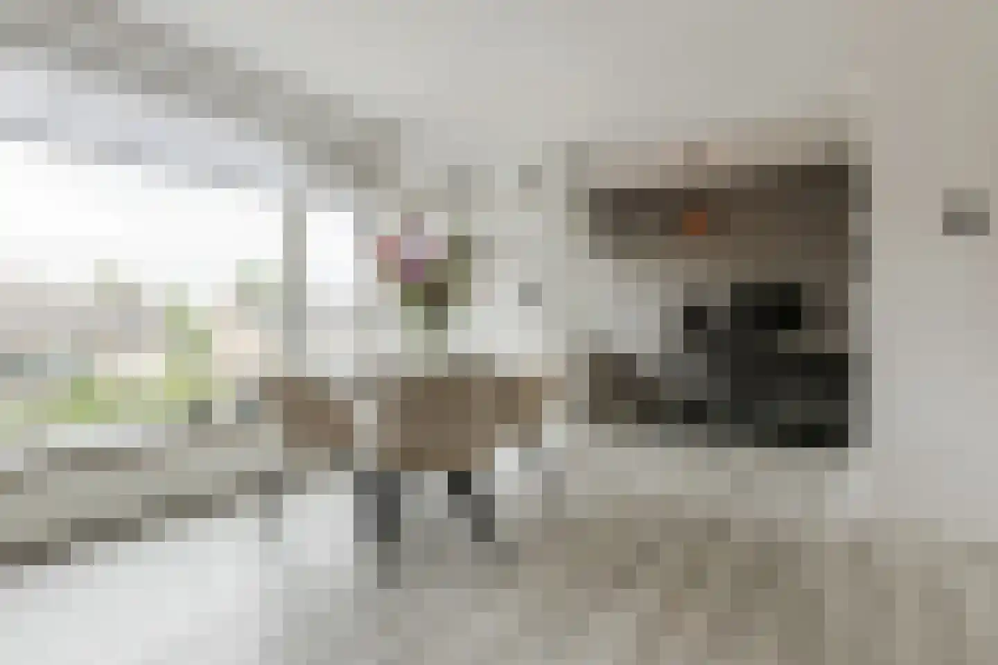 Rooseveltlaan 107 Bergen op Zoom thumbnail 7