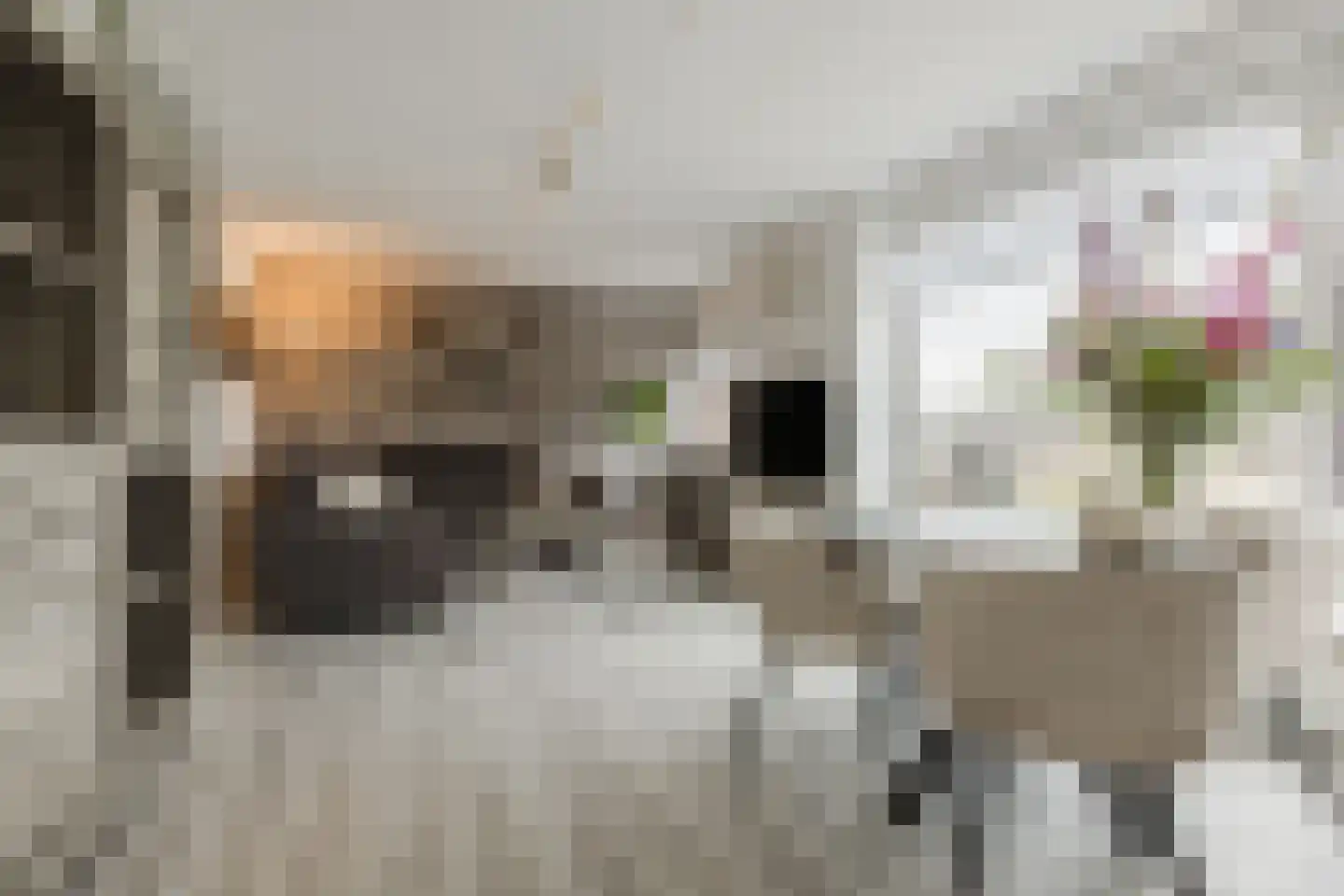 Rooseveltlaan 107 Bergen op Zoom thumbnail 8