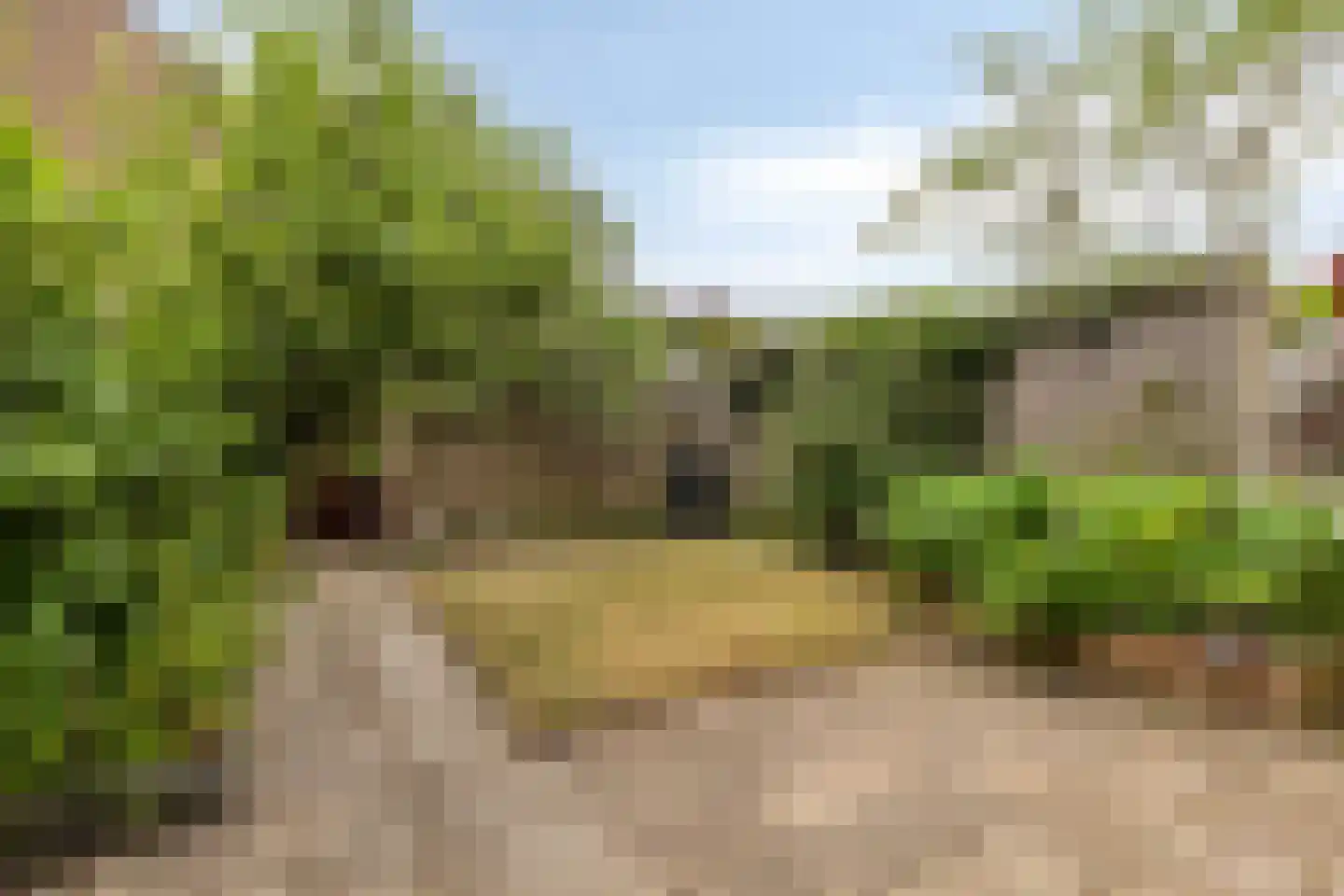 Rooseveltlaan 11 Castricum thumbnail 14