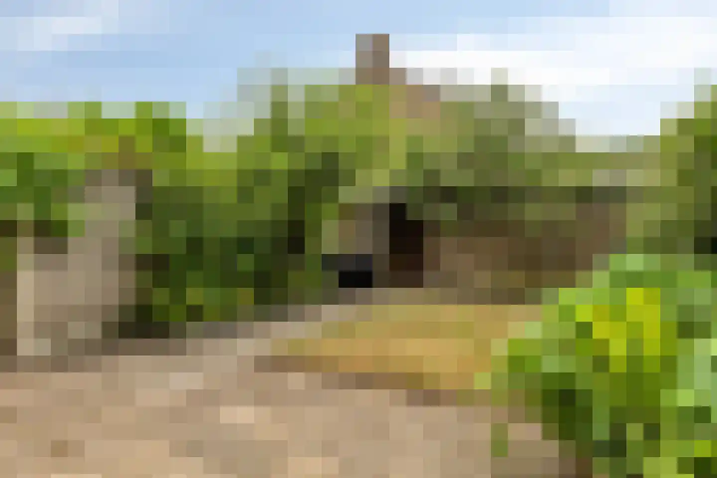 Rooseveltlaan 11 Castricum thumbnail 15