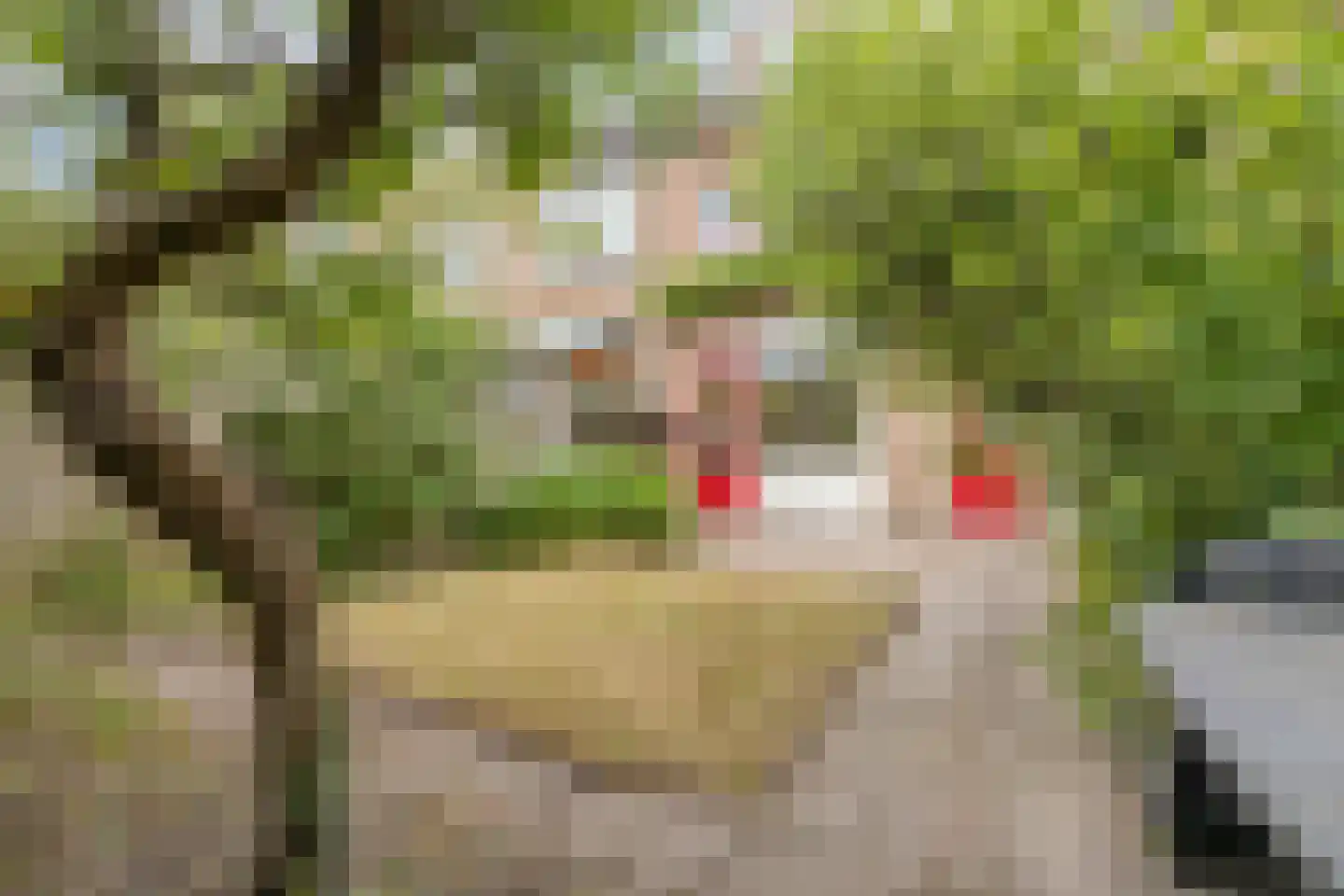 Rooseveltlaan 11 Castricum thumbnail 16