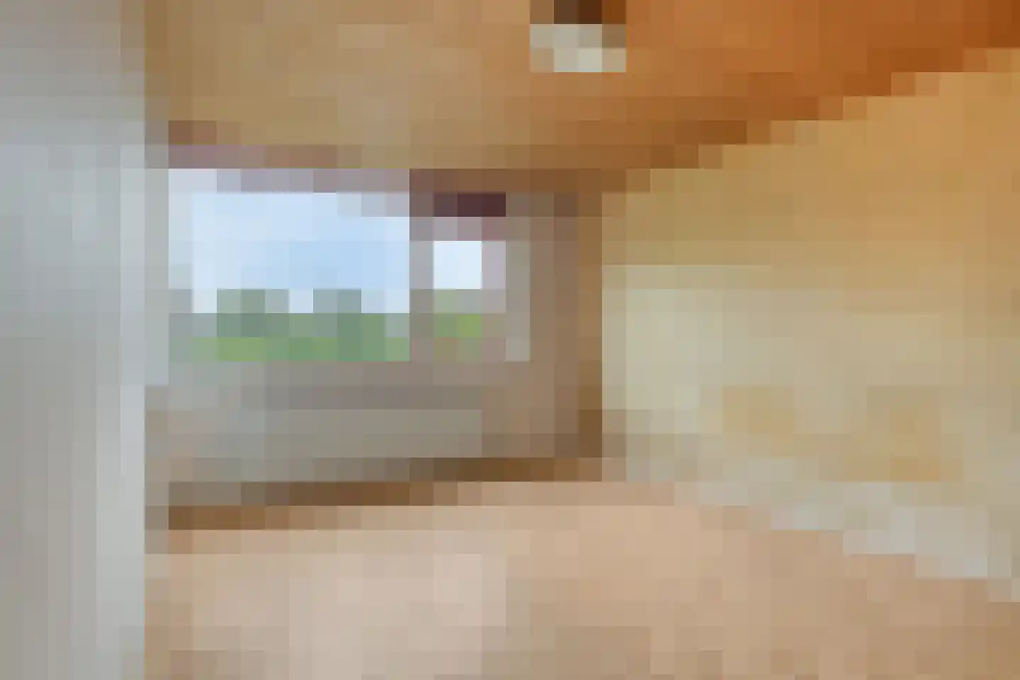 Rooseveltlaan 11 Castricum thumbnail 24