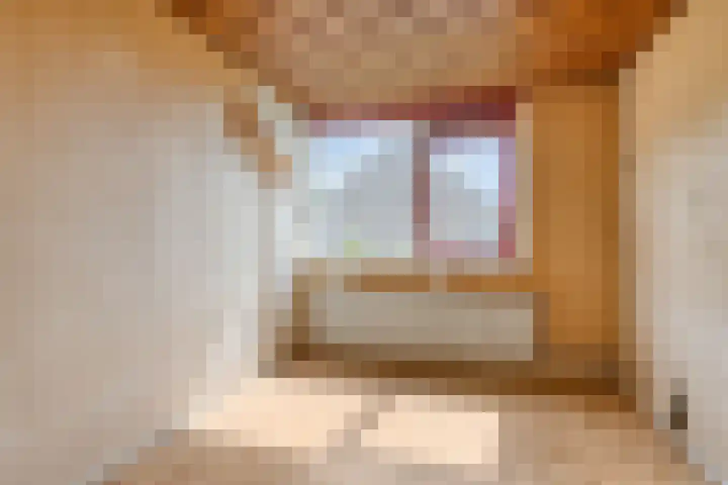Rooseveltlaan 11 Castricum thumbnail 26