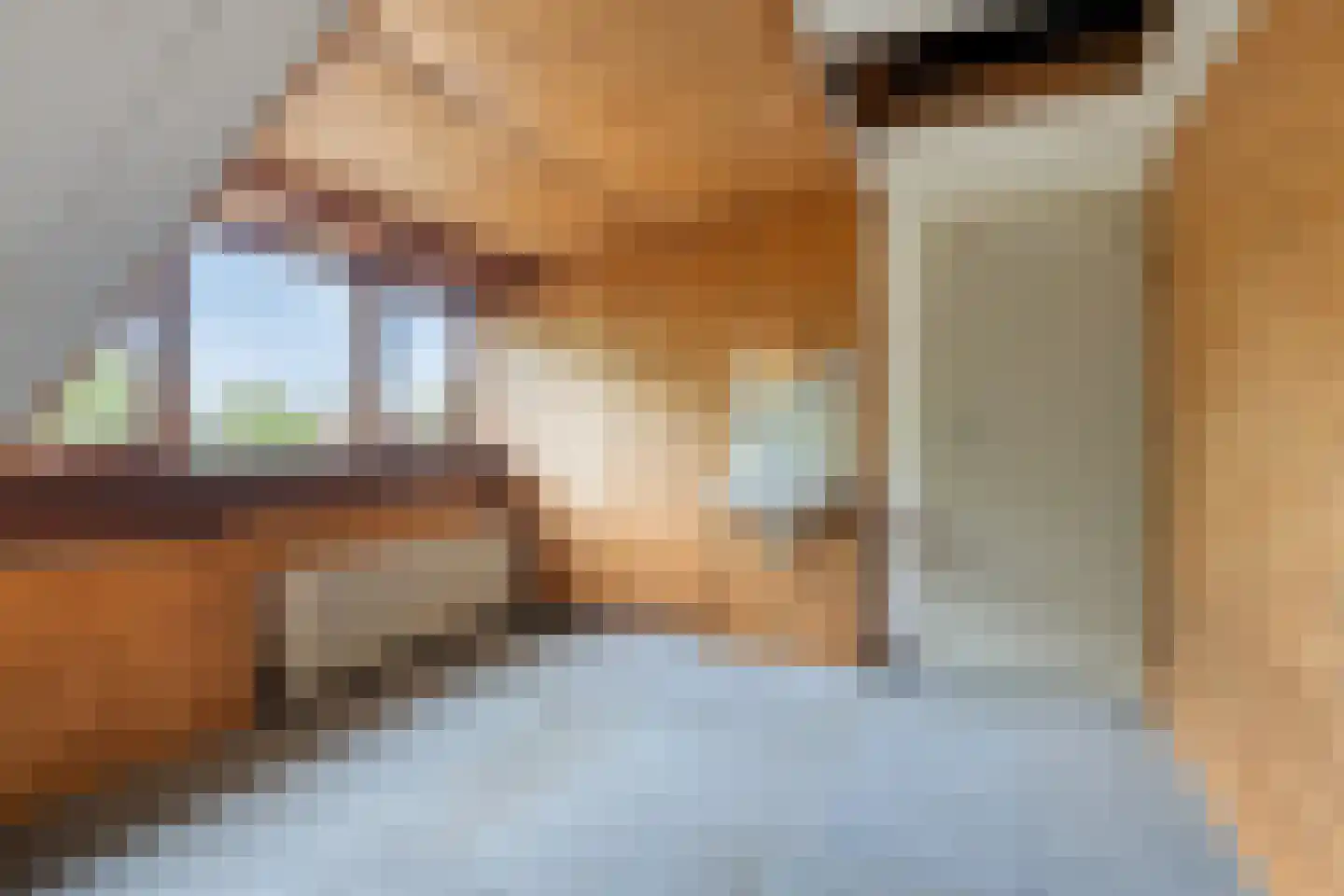 Rooseveltlaan 11 Castricum thumbnail 29