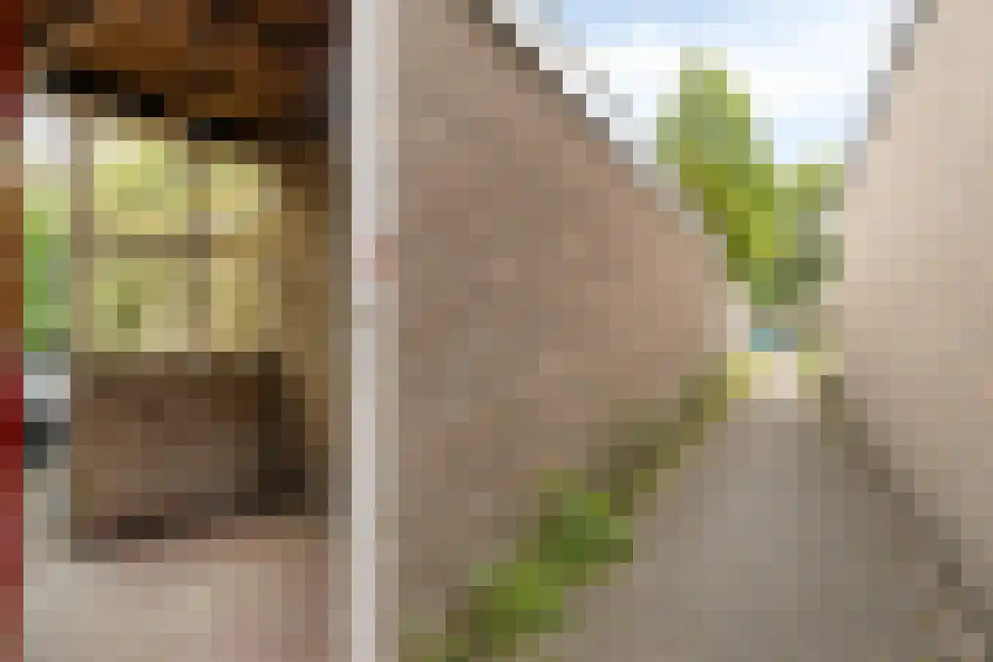 Rooseveltlaan 11 Castricum thumbnail 38