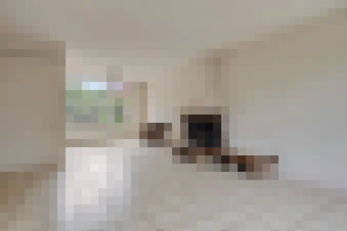 Rooseveltlaan 11 Castricum thumbnail 6
