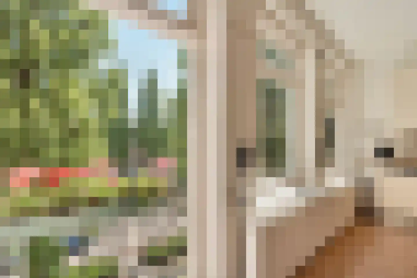 Rooseveltlaan 112 3 Amsterdam thumbnail 15