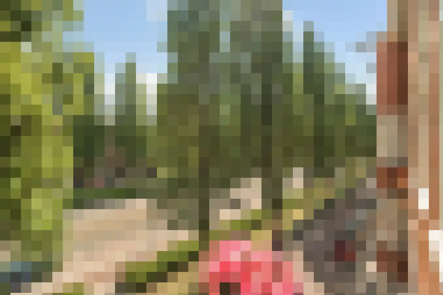 Rooseveltlaan 112 3 Amsterdam thumbnail 16