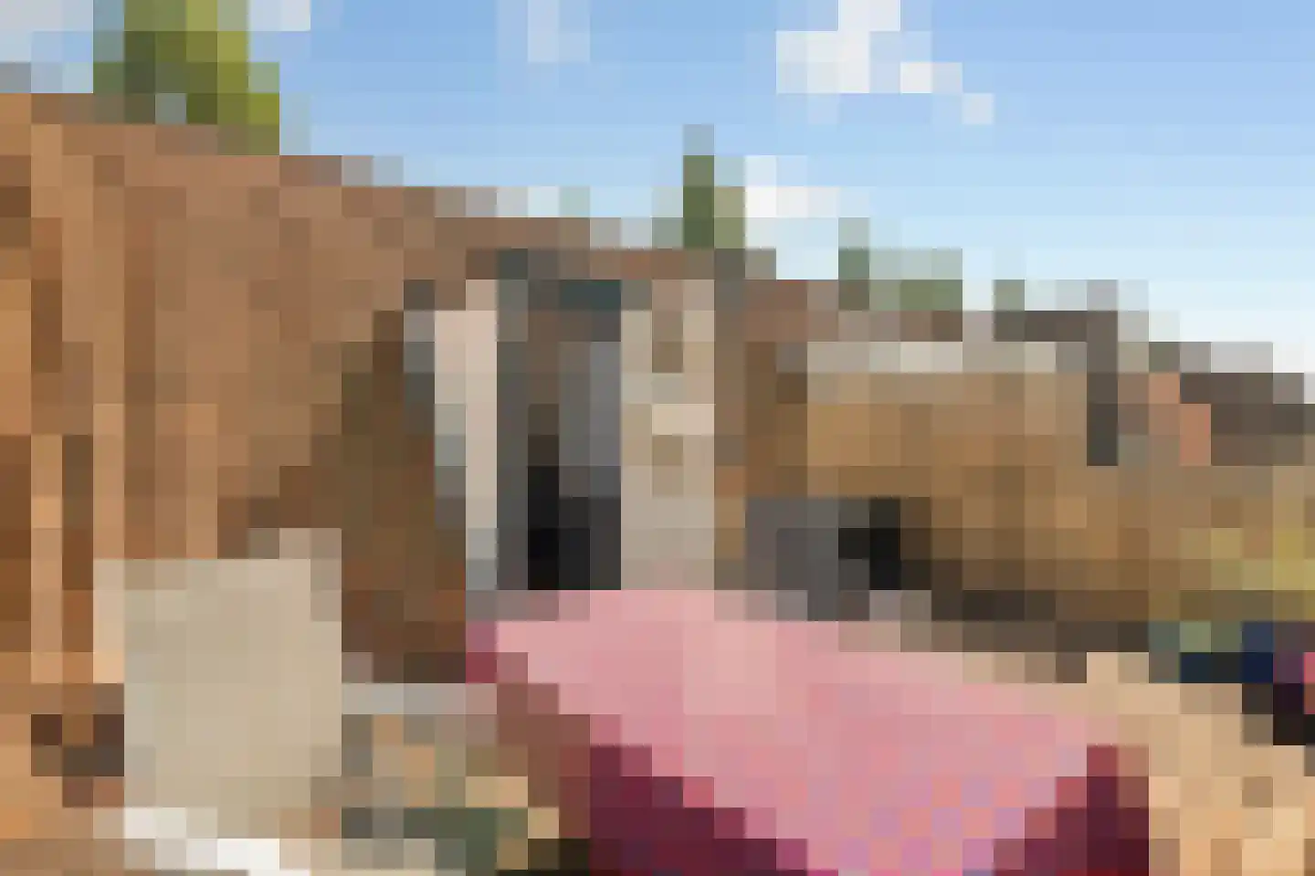 Rooseveltlaan 112 3 Amsterdam thumbnail 35