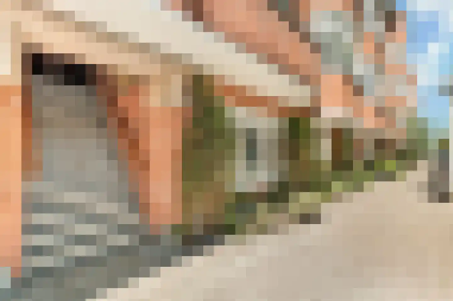 Rooseveltlaan 112 3 Amsterdam thumbnail 41