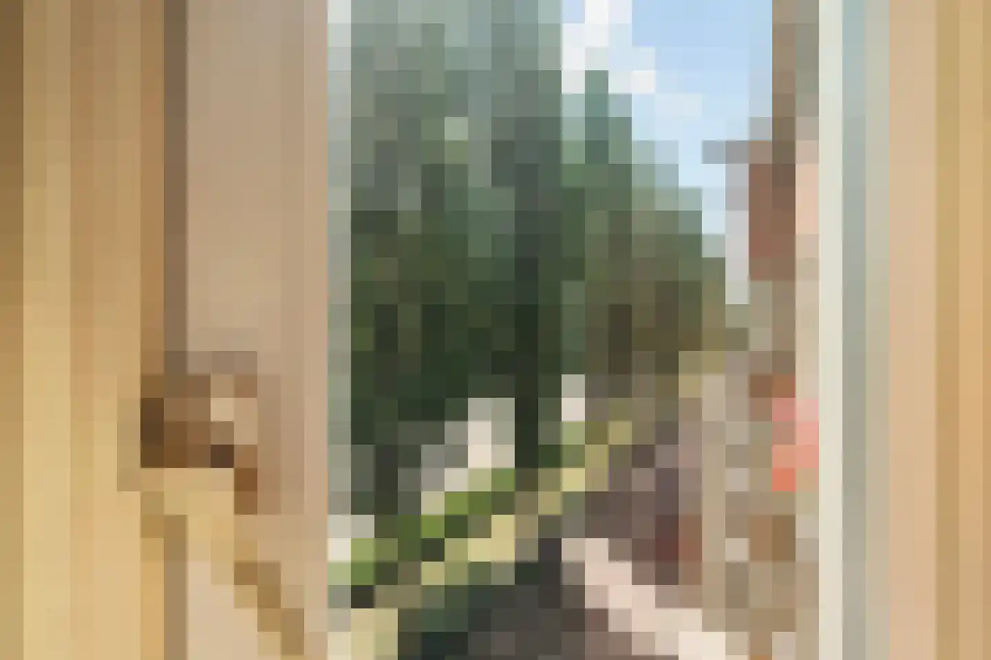 Rooseveltlaan 112 3 Amsterdam thumbnail 9