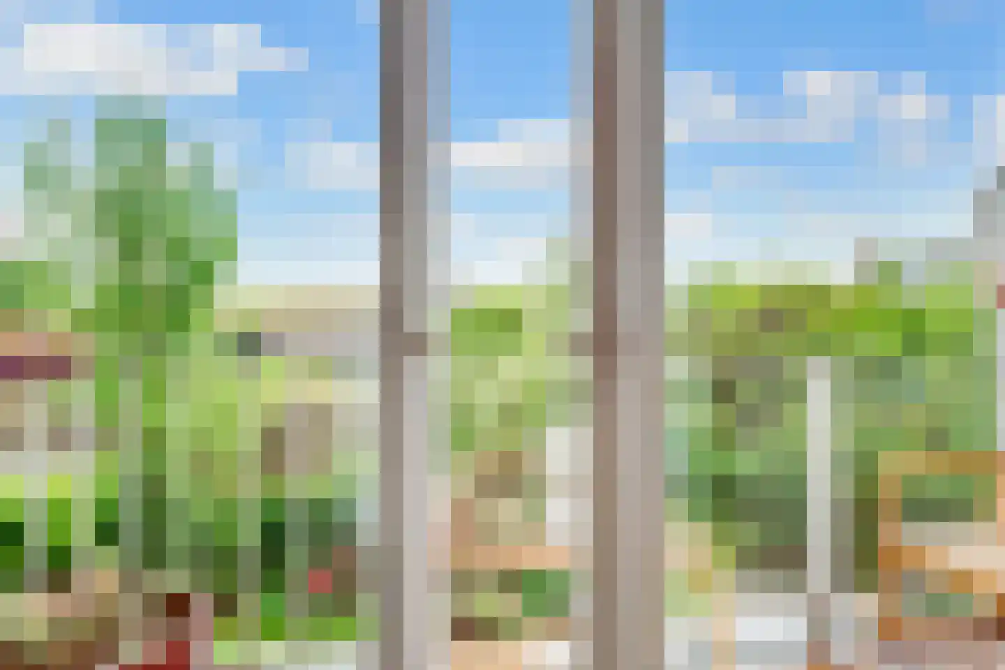 Rooseveltlaan 113 3 Amsterdam thumbnail 13
