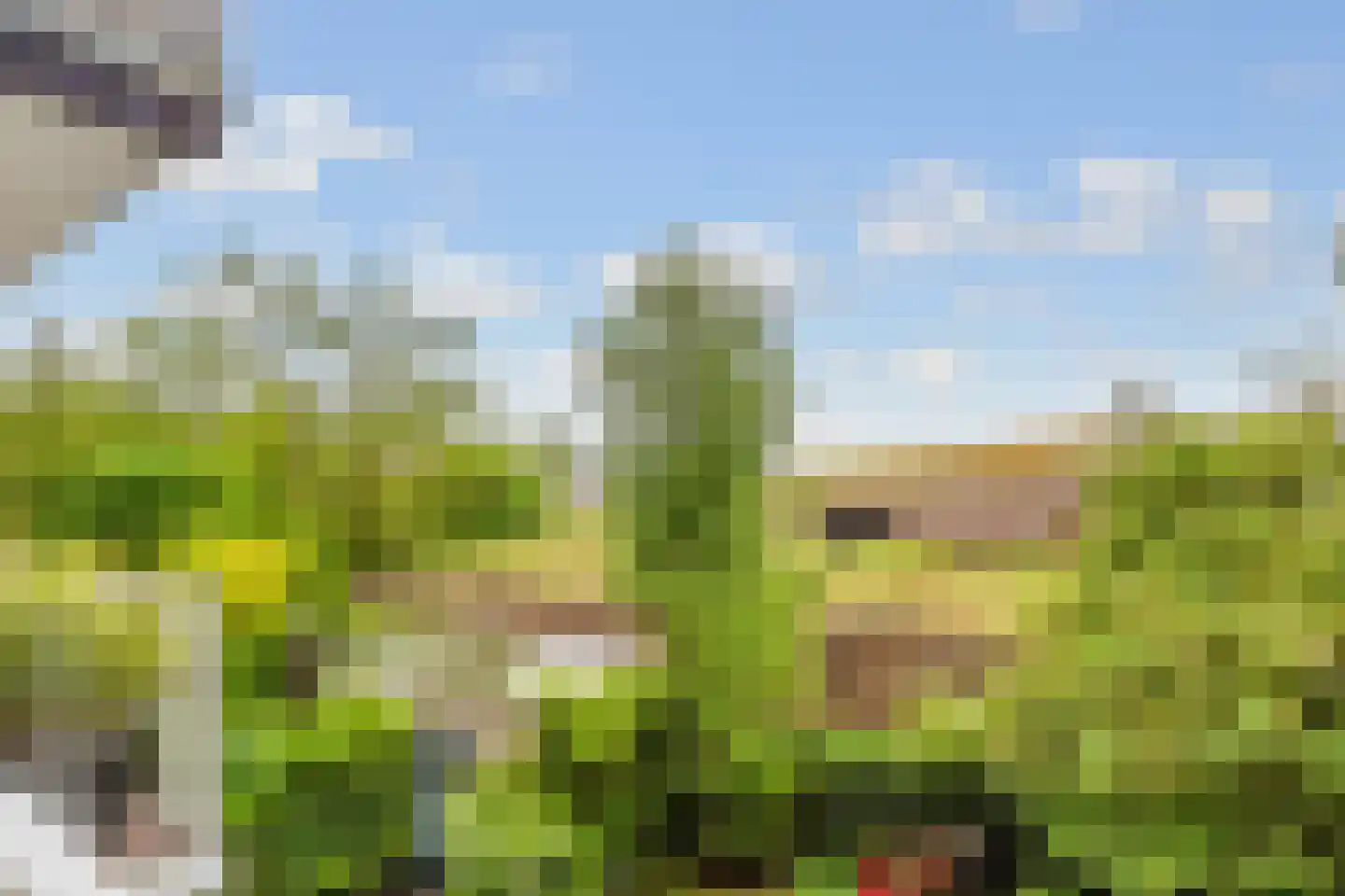 Rooseveltlaan 113 3 Amsterdam thumbnail 14