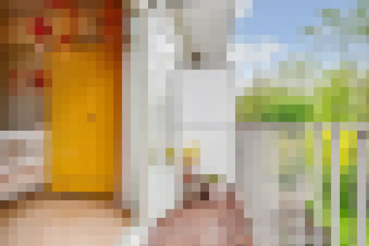 Rooseveltlaan 113 3 Amsterdam thumbnail 23