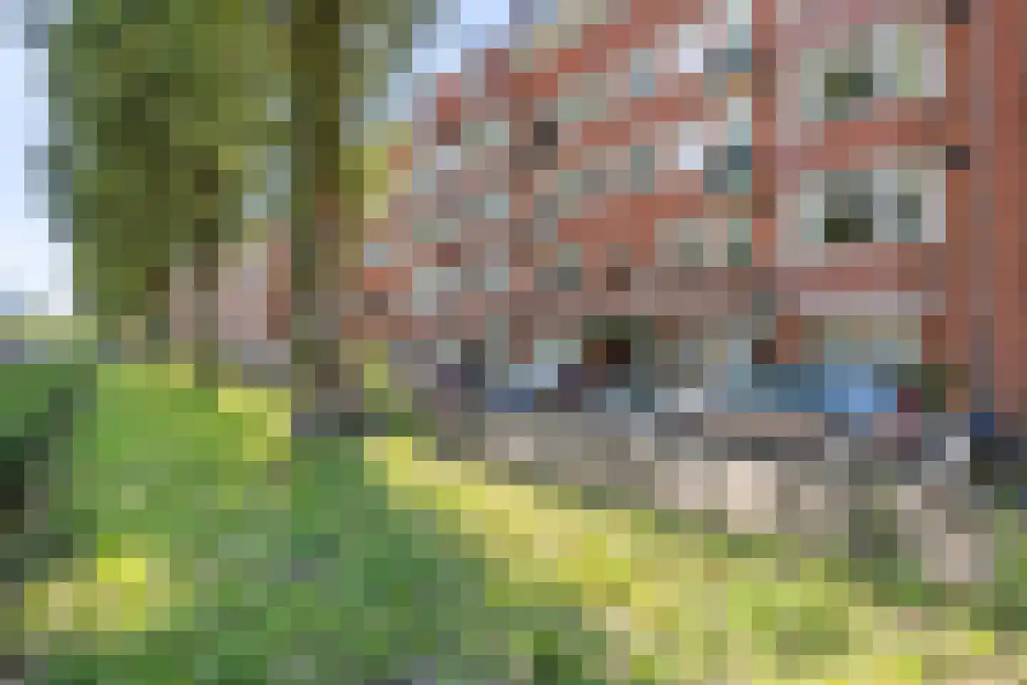 Rooseveltlaan 120 3 Amsterdam thumbnail 33