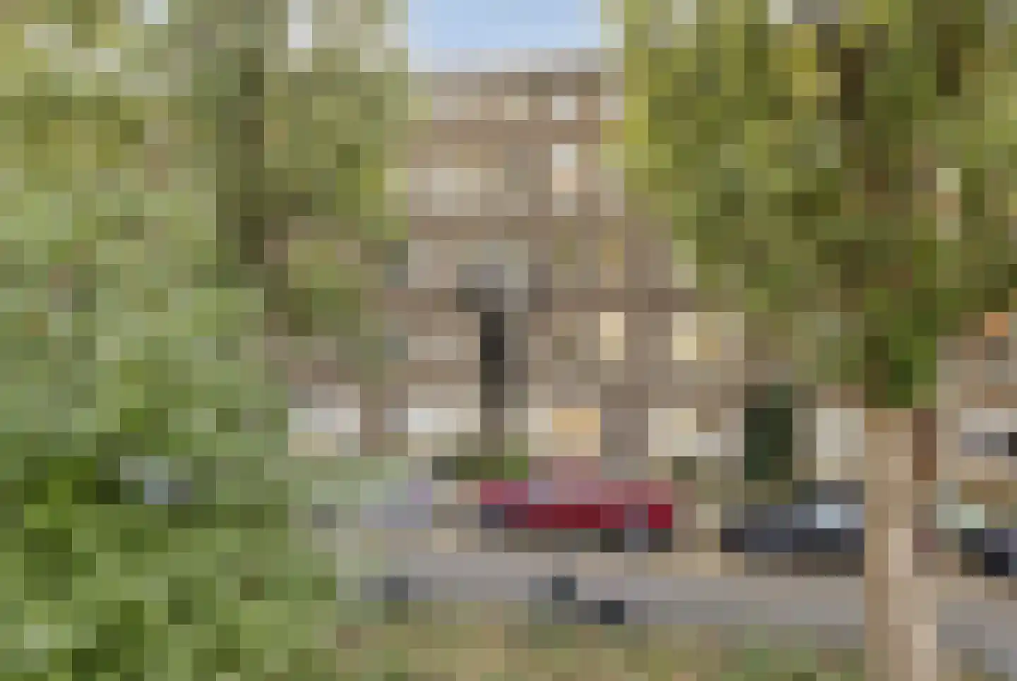 Rooseveltlaan 121 1 in Amsterdam