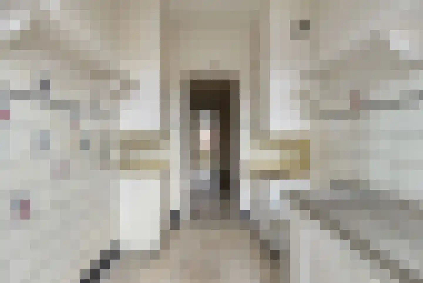 Rooseveltlaan 121 1 Amsterdam thumbnail 13