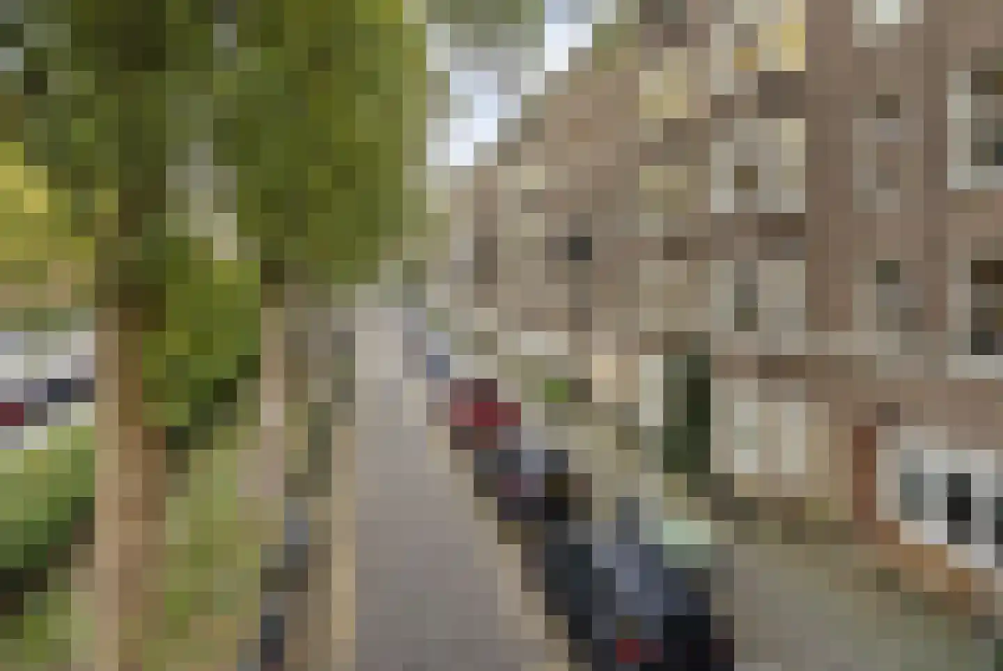 Rooseveltlaan 121 1 Amsterdam thumbnail 22