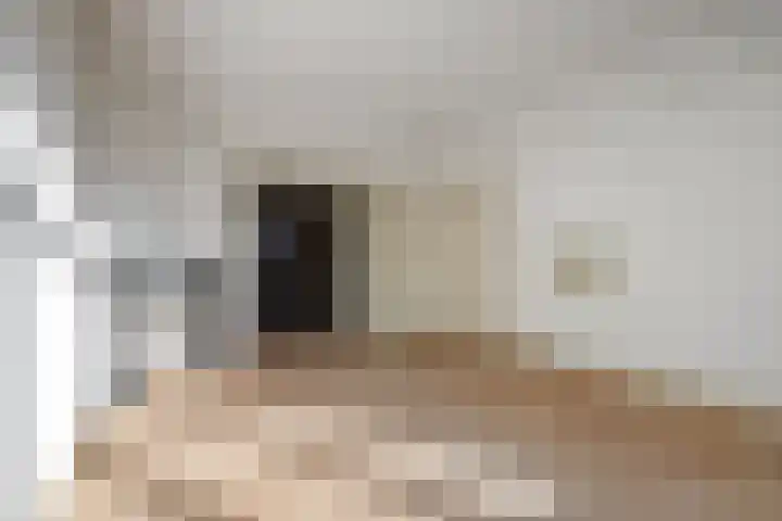 Rooseveltlaan 123 Amsterdam thumbnail 10