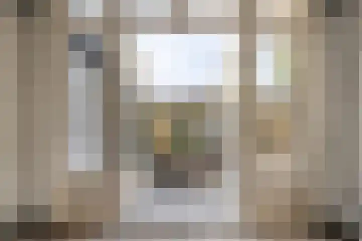 Rooseveltlaan 123 Amsterdam thumbnail 18