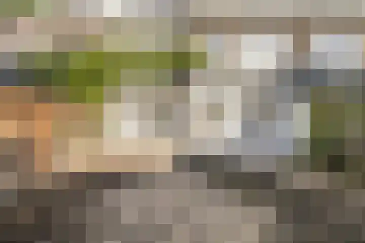 Rooseveltlaan 123 Amsterdam thumbnail 21