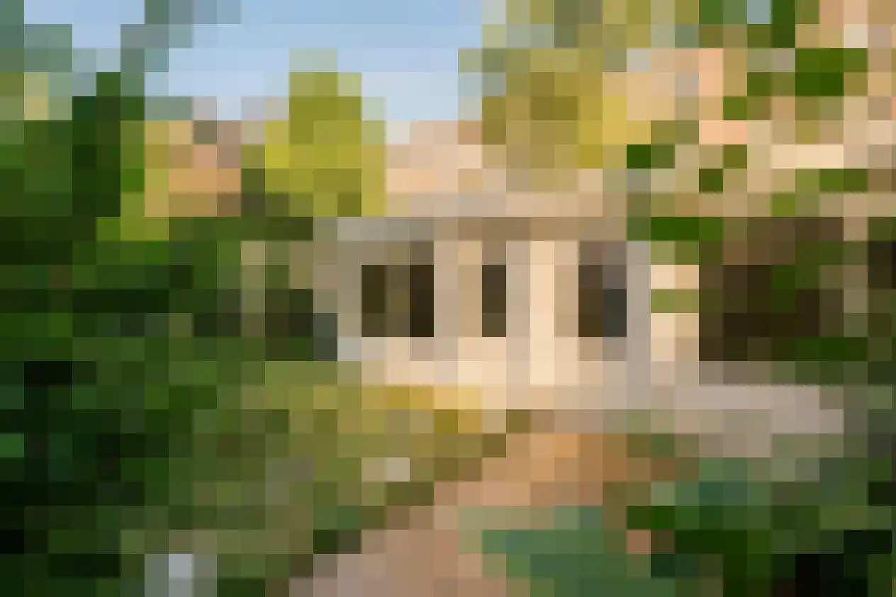 Rooseveltlaan 126 Amsterdam thumbnail 27