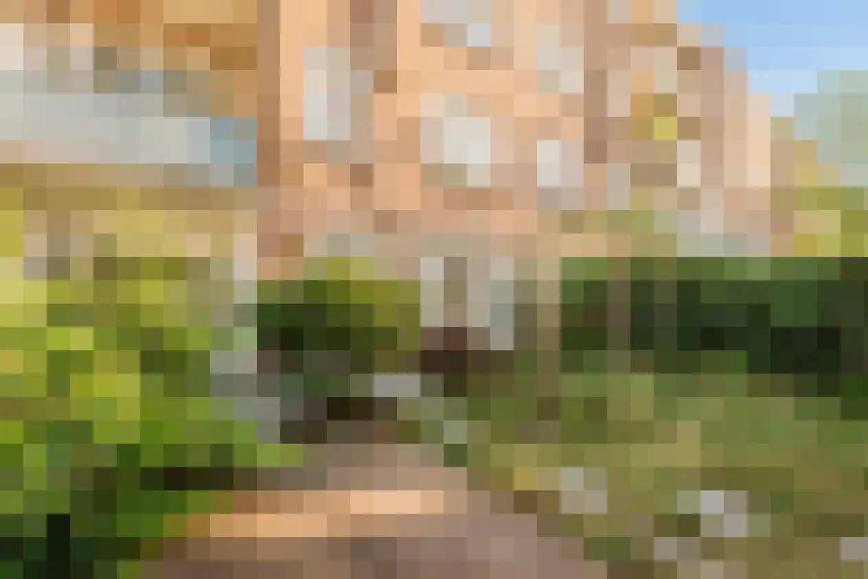 Rooseveltlaan 126 Amsterdam thumbnail 34