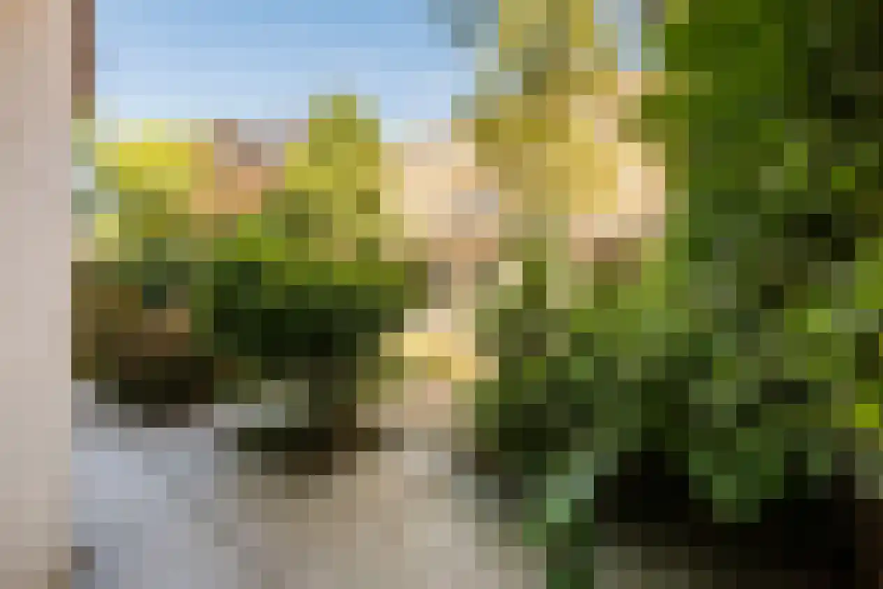 Rooseveltlaan 126 Amsterdam thumbnail 8