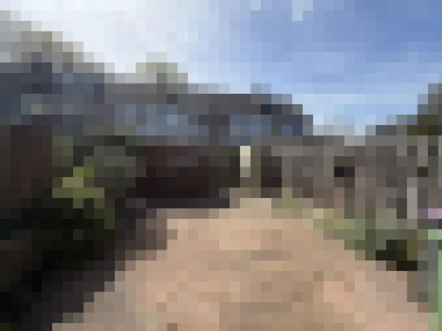Rooseveltlaan 126 Delft thumbnail 20