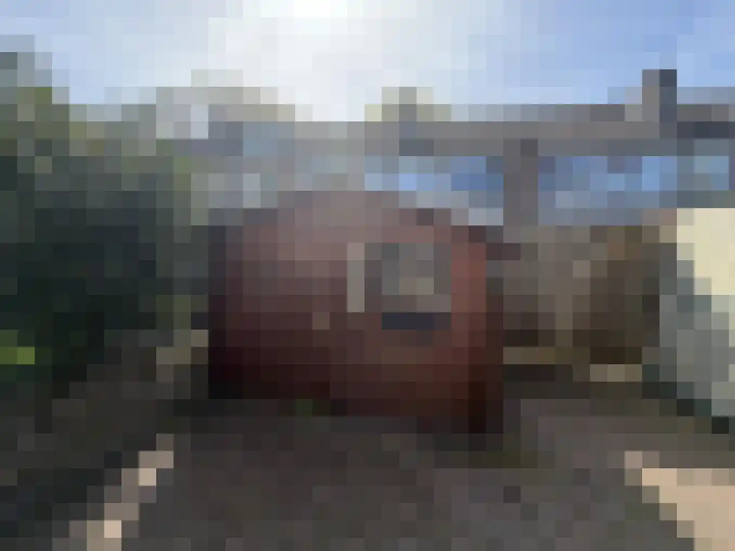 Rooseveltlaan 126 Delft thumbnail 21