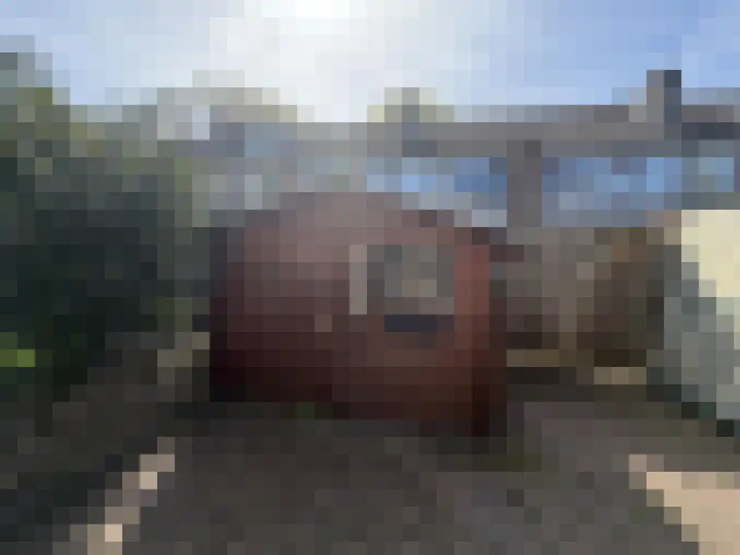 Rooseveltlaan 126 Delft thumbnail 21