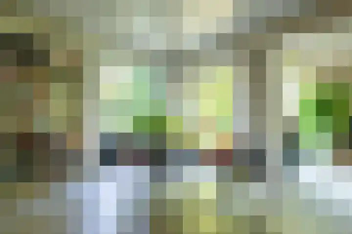 Rooseveltlaan 13 Rosmalen thumbnail 12