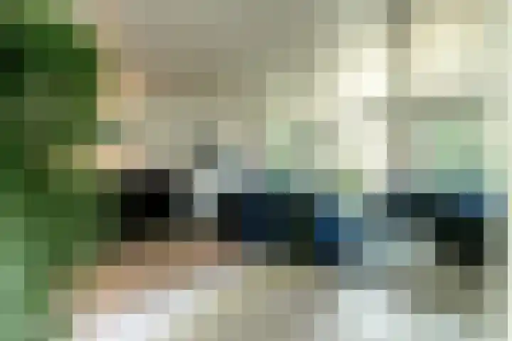 Rooseveltlaan 13 Rosmalen thumbnail 13