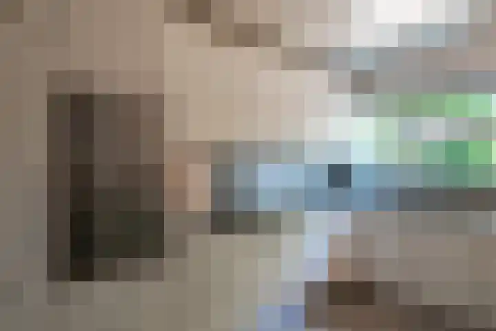 Rooseveltlaan 13 Rosmalen thumbnail 19