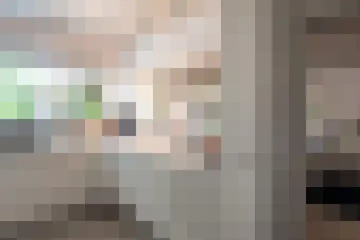 Rooseveltlaan 13 Rosmalen thumbnail 20
