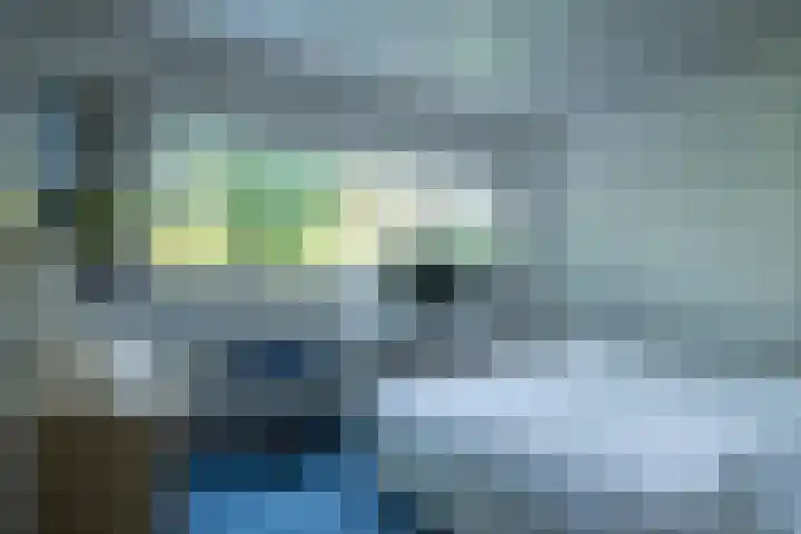 Rooseveltlaan 13 Rosmalen thumbnail 26