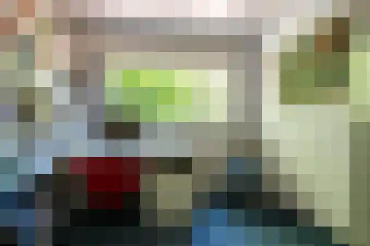 Rooseveltlaan 13 Rosmalen thumbnail 30