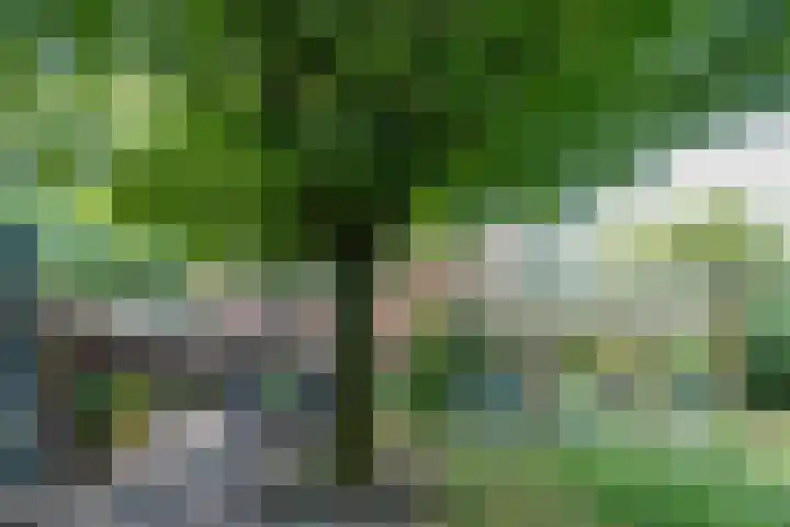 Rooseveltlaan 13 Rosmalen thumbnail 33
