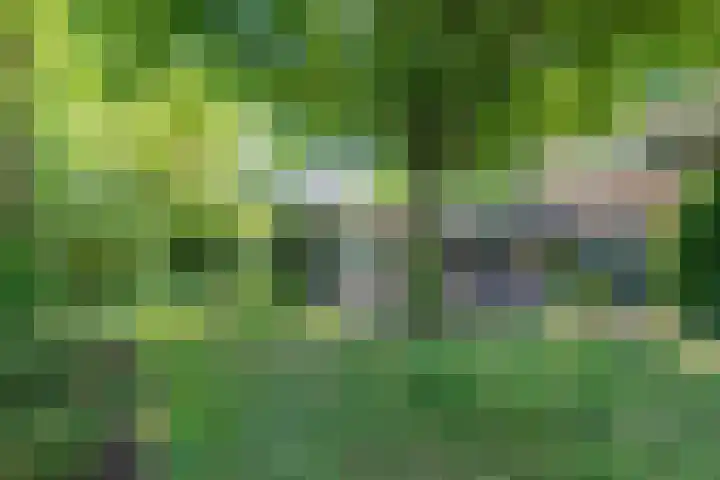 Rooseveltlaan 13 Rosmalen thumbnail 34