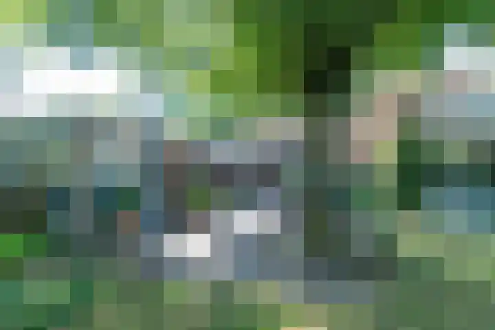 Rooseveltlaan 13 Rosmalen thumbnail 35