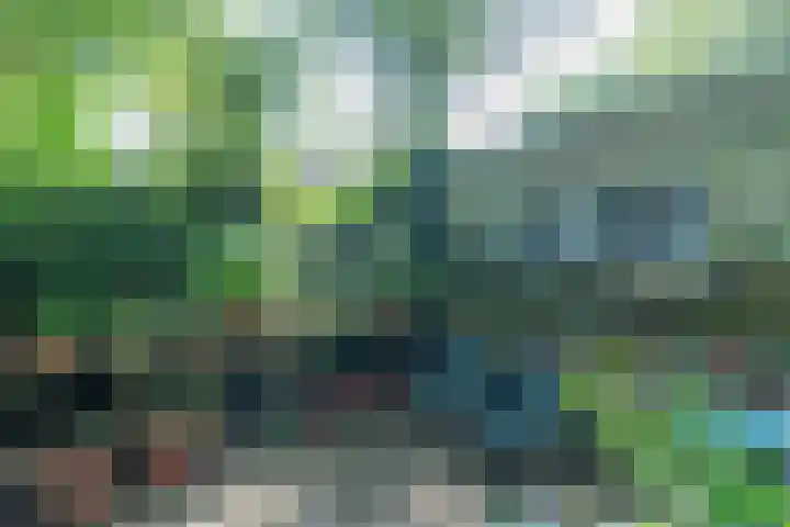 Rooseveltlaan 13 Rosmalen thumbnail 36