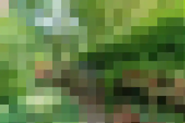 Rooseveltlaan 13 Rosmalen thumbnail 37