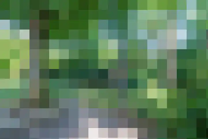 Rooseveltlaan 13 Rosmalen thumbnail 38