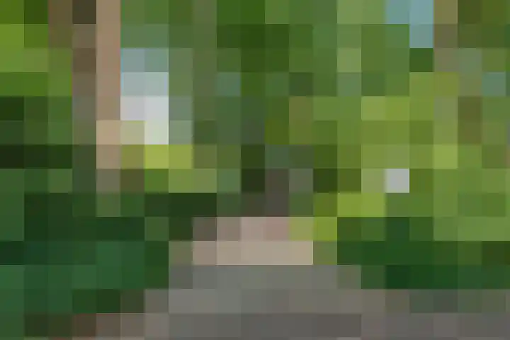 Rooseveltlaan 13 Rosmalen thumbnail 4