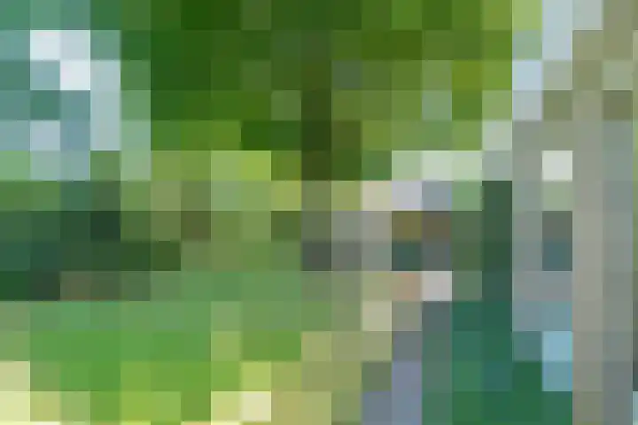 Rooseveltlaan 13 Rosmalen thumbnail 40