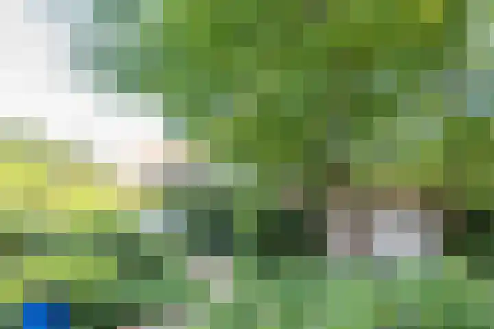 Rooseveltlaan 13 Rosmalen thumbnail 5