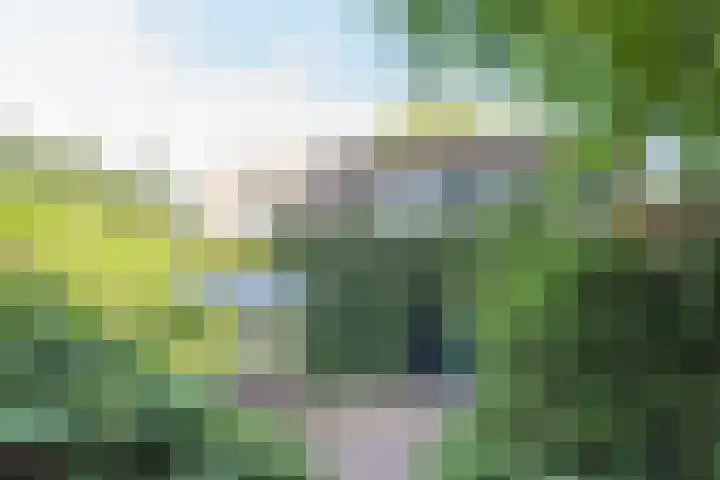Rooseveltlaan 13 Rosmalen thumbnail 6