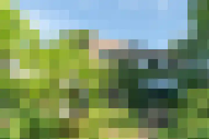 Rooseveltlaan 13 Rosmalen thumbnail 7